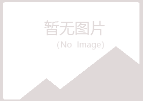 赤城县雅山化学有限公司